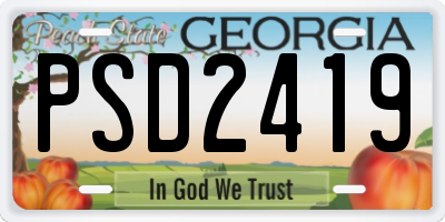 GA license plate PSD2419
