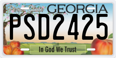 GA license plate PSD2425