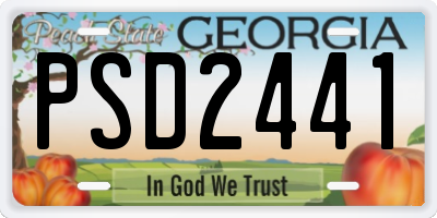 GA license plate PSD2441
