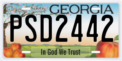 GA license plate PSD2442