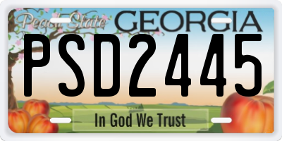 GA license plate PSD2445