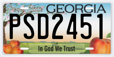 GA license plate PSD2451