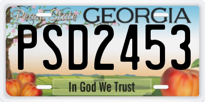 GA license plate PSD2453
