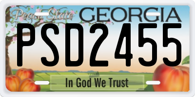 GA license plate PSD2455