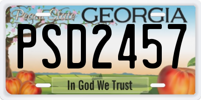 GA license plate PSD2457
