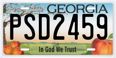 GA license plate PSD2459