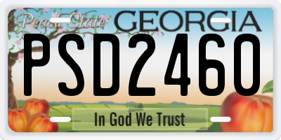 GA license plate PSD2460
