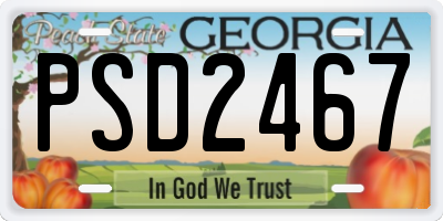 GA license plate PSD2467