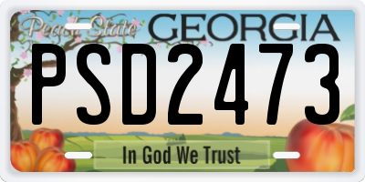 GA license plate PSD2473