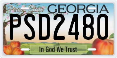 GA license plate PSD2480
