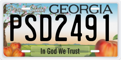 GA license plate PSD2491