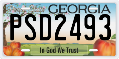 GA license plate PSD2493