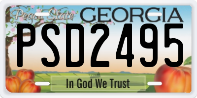 GA license plate PSD2495