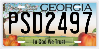 GA license plate PSD2497