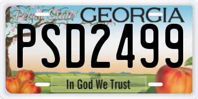 GA license plate PSD2499