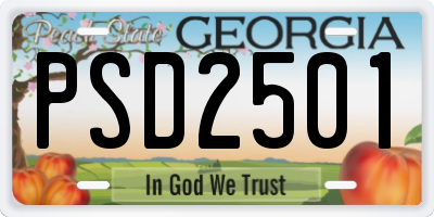 GA license plate PSD2501