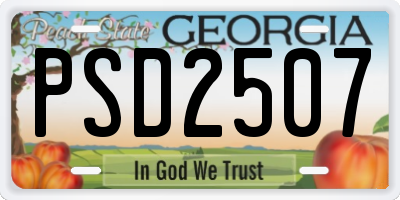 GA license plate PSD2507