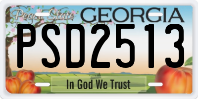 GA license plate PSD2513