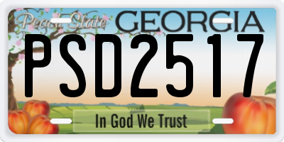 GA license plate PSD2517