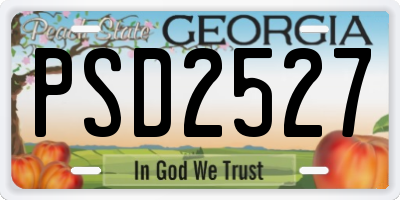 GA license plate PSD2527