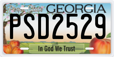 GA license plate PSD2529