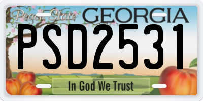 GA license plate PSD2531
