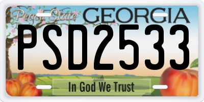 GA license plate PSD2533