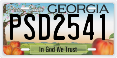 GA license plate PSD2541