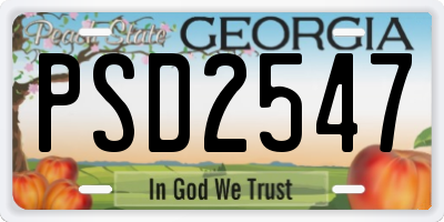 GA license plate PSD2547
