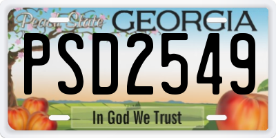 GA license plate PSD2549