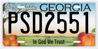 GA license plate PSD2551