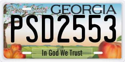 GA license plate PSD2553