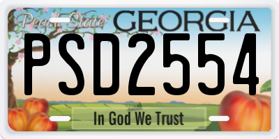 GA license plate PSD2554