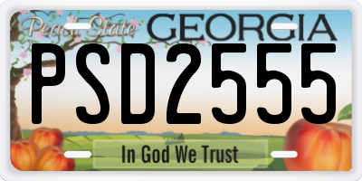 GA license plate PSD2555