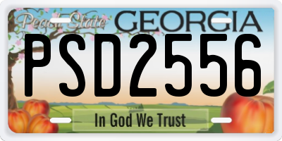 GA license plate PSD2556