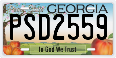 GA license plate PSD2559