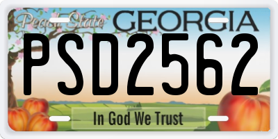 GA license plate PSD2562