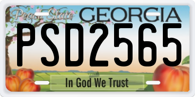 GA license plate PSD2565