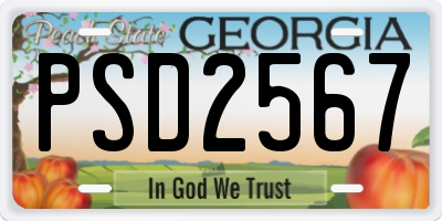 GA license plate PSD2567