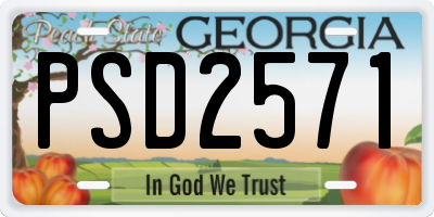 GA license plate PSD2571