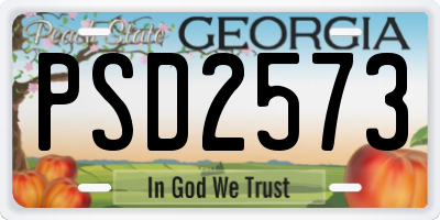 GA license plate PSD2573