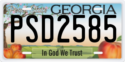 GA license plate PSD2585