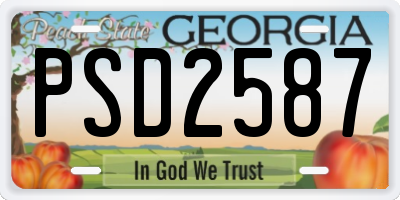 GA license plate PSD2587