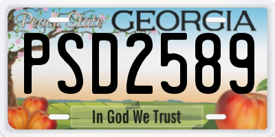 GA license plate PSD2589