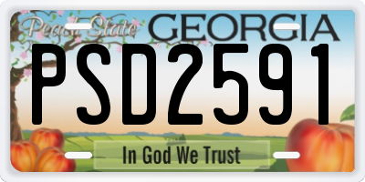 GA license plate PSD2591