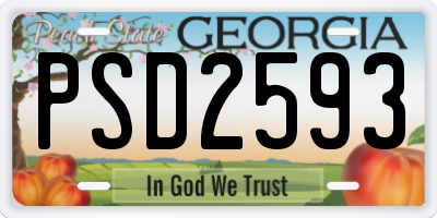 GA license plate PSD2593
