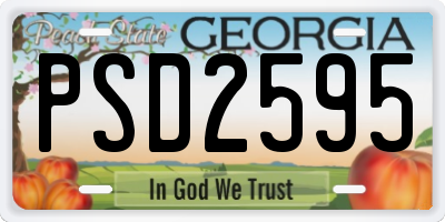 GA license plate PSD2595