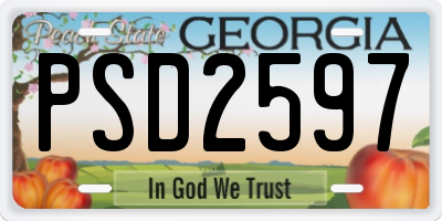 GA license plate PSD2597