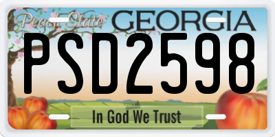 GA license plate PSD2598
