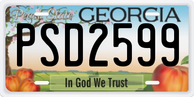GA license plate PSD2599
